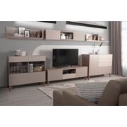 Купить МОДУЛЬНАЯ СТЕНКА ДАНИЯ FL в Симферополе, Крыму