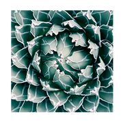 Купить Декоративная картина CREATE-7 в Симферополе, Крыму